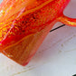 Coral Crush