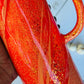 Coral Crush